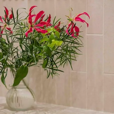 Ambassador * Amazing Garden & Flat * 2 Bdr * 120 Sqm *