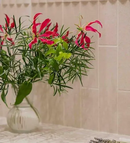 Ambassador * Amazing Garden & Flat * 2 Bdr * 120 Sqm *